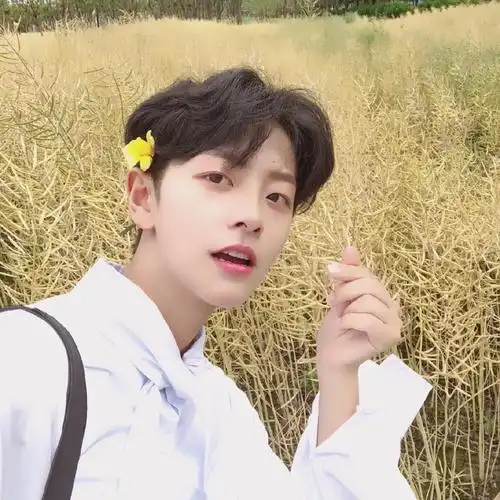 刘梦小姐姐可盐可甜头像