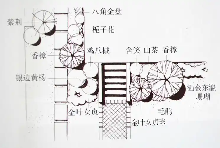 《植物景境设计》——植物配置平面 效果