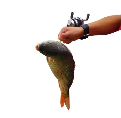 弹弓工射鱼枪神器套装弓箭鱼轮无弓打鱼抢镖鱼标鱼鳔神器包邮促销