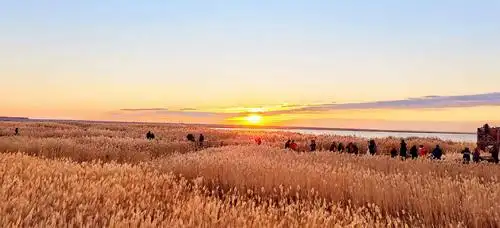 生活很好,记得微笑