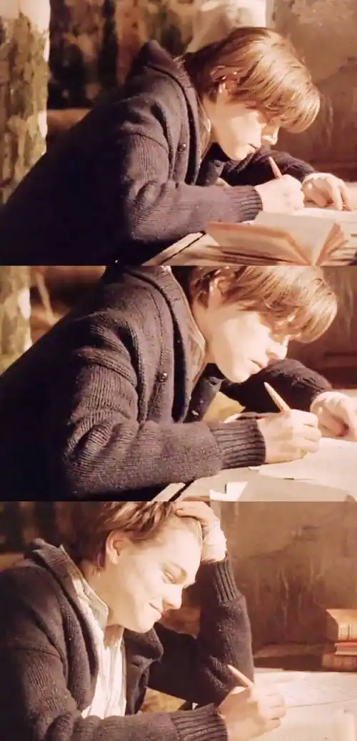 心之全蚀莱昂纳多