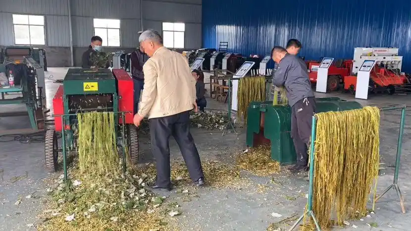 生产率提高三成湖南成功研制直喂式苎麻剥麻机