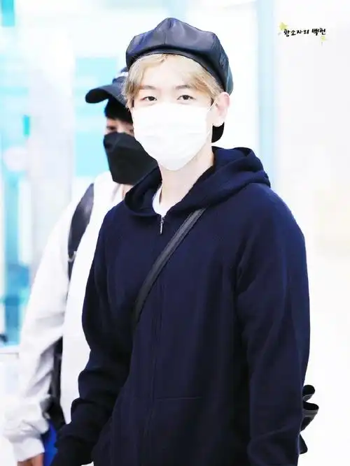 芭兰歌林代言人边伯贤