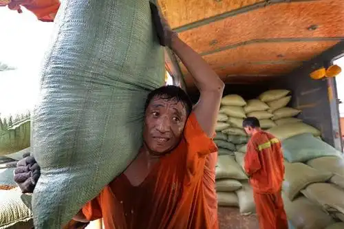 "谁的儿子,谁的爸"高温下的码头工人