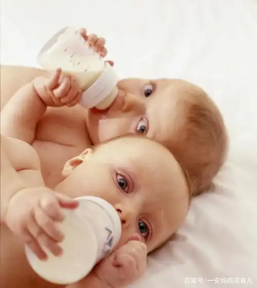 《安家》罗晋首谈双胞胎!网友羡慕:"真会生"