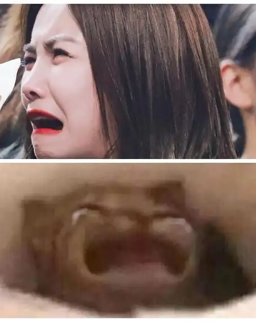 朋友们,你们有the9全团沙雕表情包推荐给我吗(可.