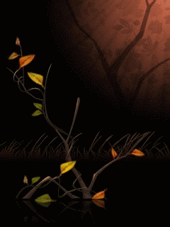 个性网-美图-动态,蝶恋花.喜欢就收藏吧(*^__^._情感意境_唯美