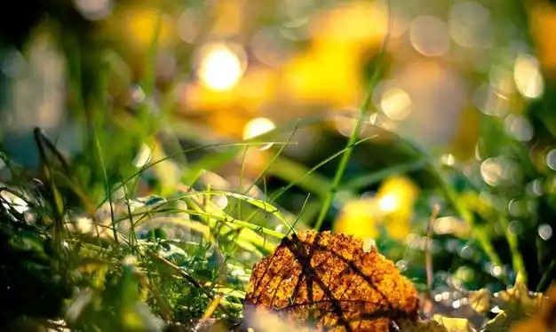 千帆|虚荣心|小仙女