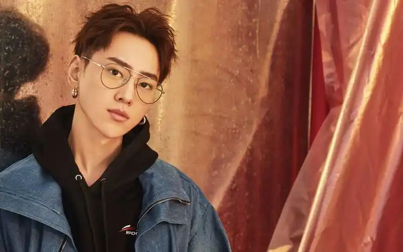 【魏巡】渣画质高音质的深情巡?想他了,嗑个不知道是什么时候的现场