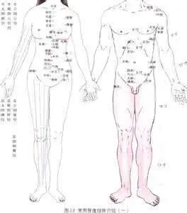 冲任督脉源于此生命之地要艾护