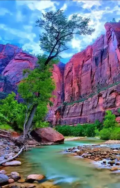 难得一遇的罕见美照!实在太美太漂亮了!