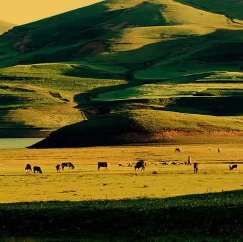 云南草甸子风光