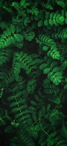 iphone壁纸抖音个性壁纸潮图