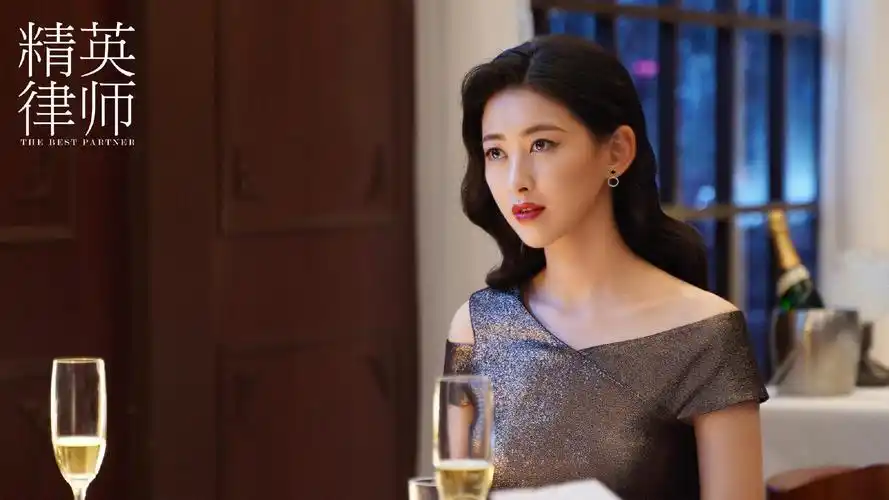 精英律师电视剧演员表(精英律师) - 燕来学堂