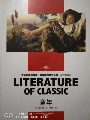 《童年》读后感