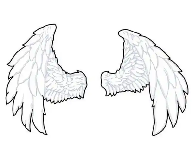 画图片大全小天使翅膀的画法简笔画衣服翅膀的简笔画搜索恶魔翅膀简笔