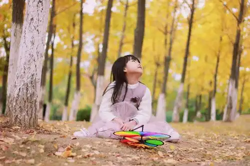 小仙女的金色秋天