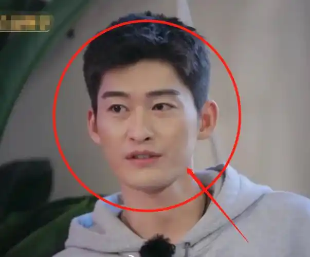 张翰参加节目被镜头怼脸拍,无美颜画面下,皮肤状态好真实