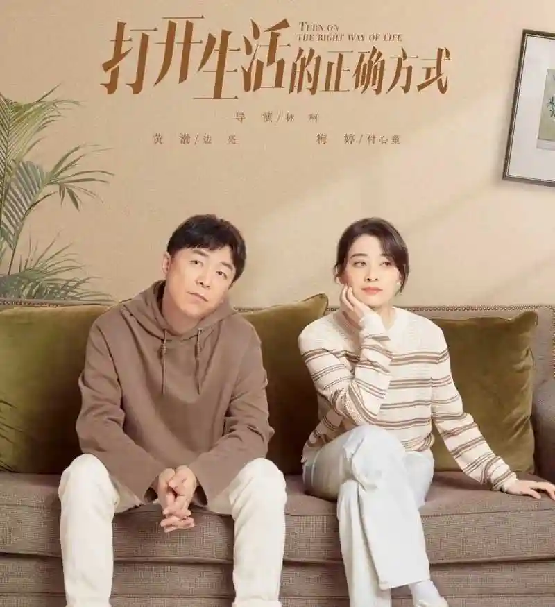 黄渤梅婷主演的电视剧,打开生活的正确方式剧情介绍