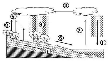 自然界的水循环示意图简笔画
