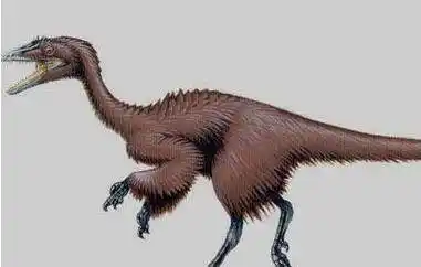 世界上最小的恐龙身材 仅有火鸡大小