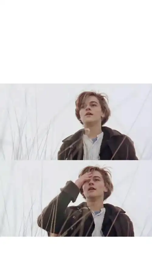 小李子(莱昂纳多) 壁纸