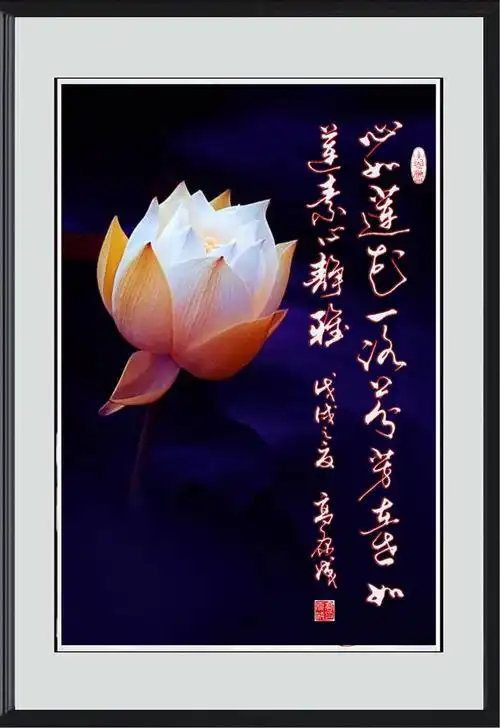 心如莲花一路芬芳,在世如莲,素心静雅.