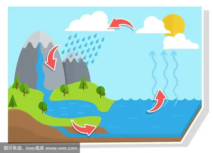 水循环图.矢量显示水循环从水滴到雨滴.