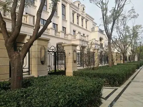 渠道客户清退房源,金科天玺,实面580,挑空7米,私家电梯