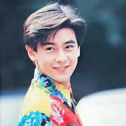 早期颜值#最近几天看林志颖的新闻真的好惋惜,整理了一些早期照片