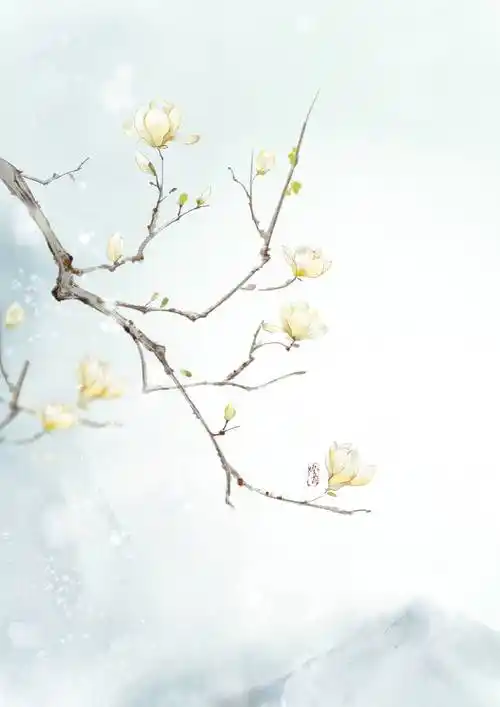 背景,古风,仙气