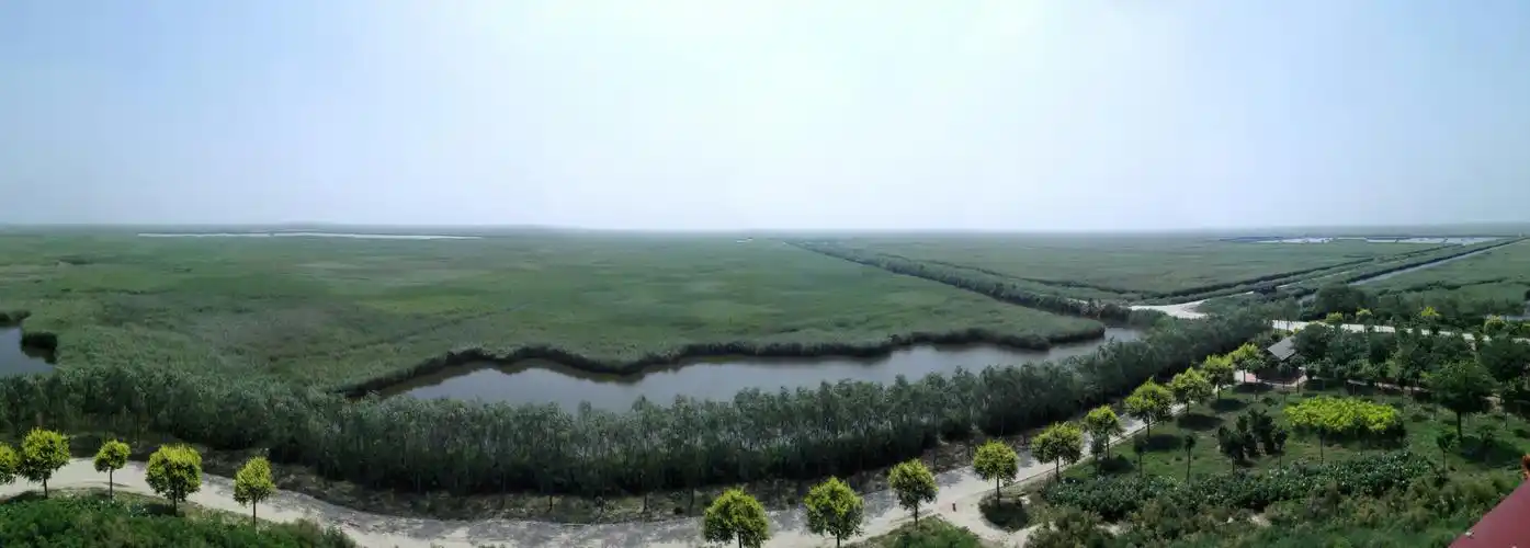 愉快的南大港湿地游 - 美篇