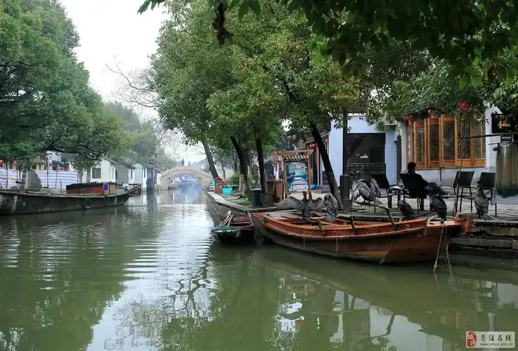 江南水乡_摄影实拍_苍溪论坛_苍溪在线