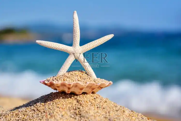 在一个炎热的阳光明媚的日子里,沙滩上一只白色的海星,背景是大海和
