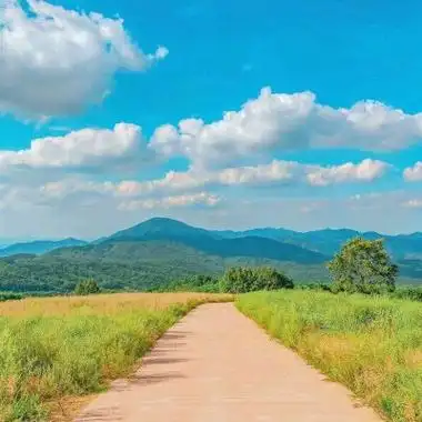 好看的唯美大自然风景风景头像微信唯美意境图片