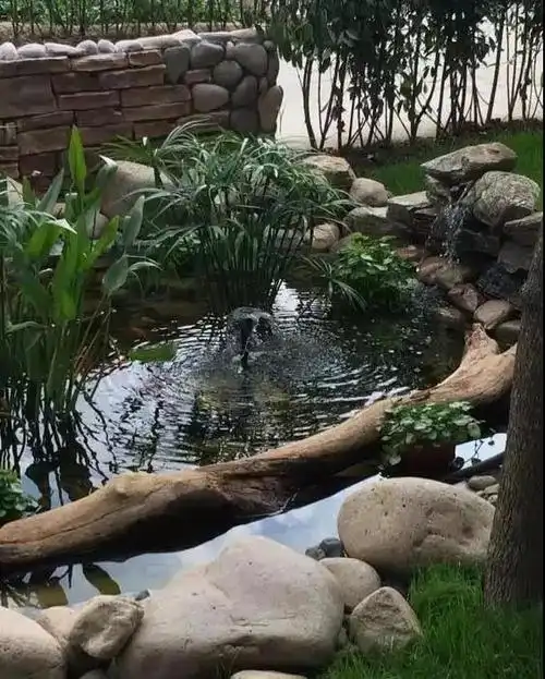 口述:手把手教你一个人怎么在农村自建房前造个水景池塘!