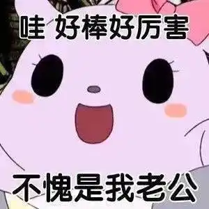 老公在哪里?-聊天表情-斗图表情包-表情包网站