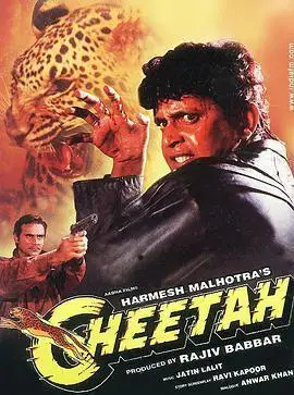 猎豹降妖cheetah1994