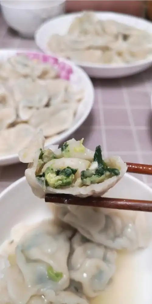 果粒嘟嘟做的韭菜鸡蛋虾仁三鲜饺子