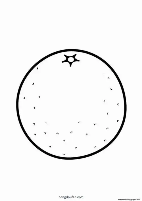 简单画橘子-红豆饭小学生简笔画大全