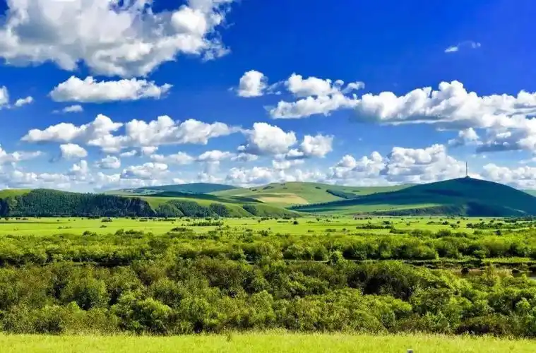 绿草蓝天白云盛夏的呼伦贝尔大草原