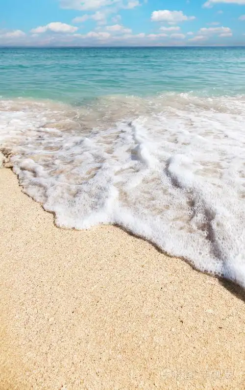 海洋海岸: 沙滩和大海