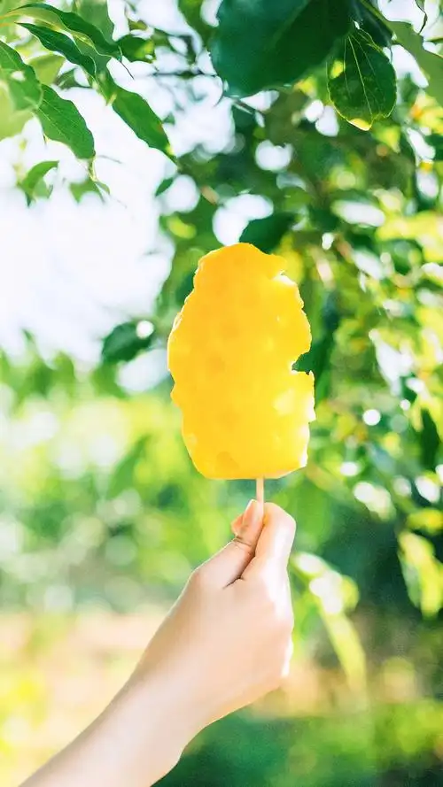 夏天来了高清手机壁纸图片-风格-手机壁纸下载-美桌网