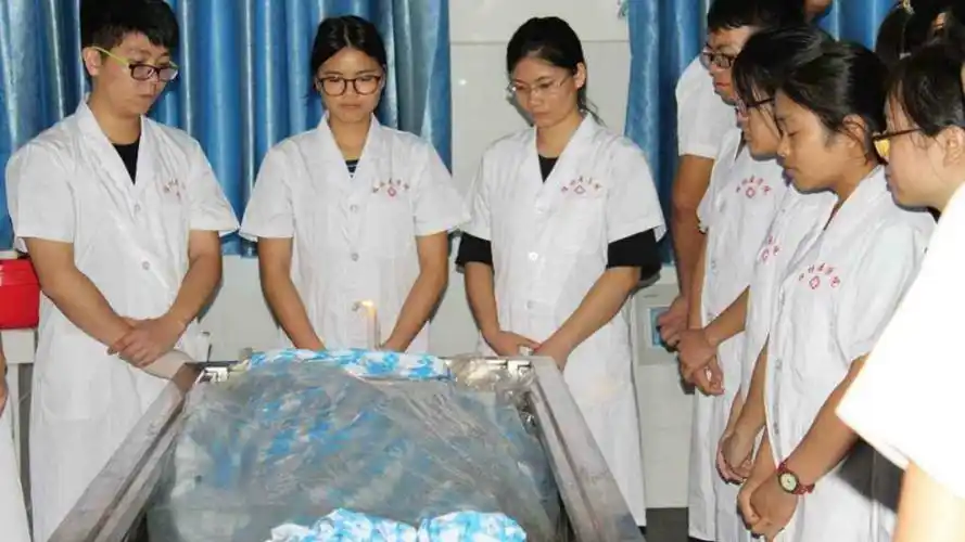 医学院解剖的尸体,都是从哪里来的?答案你绝对想不到