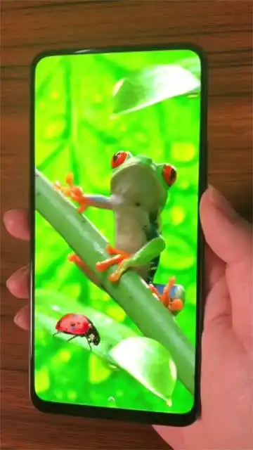 发现一款超酷的裸眼3d壁纸,火了送大家