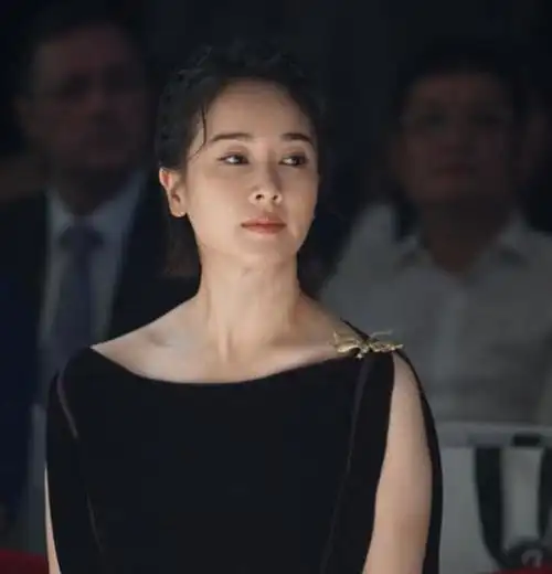 回顾46的左小青为何在43岁离了婚风姿绰约的她究竟想要什么