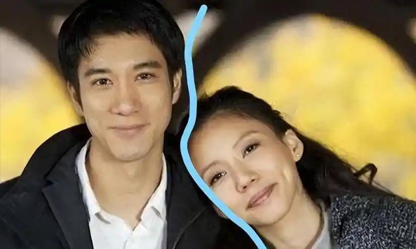 央视当时也对其王力宏进行了部分的"封杀",当时他为影视剧《大决战》