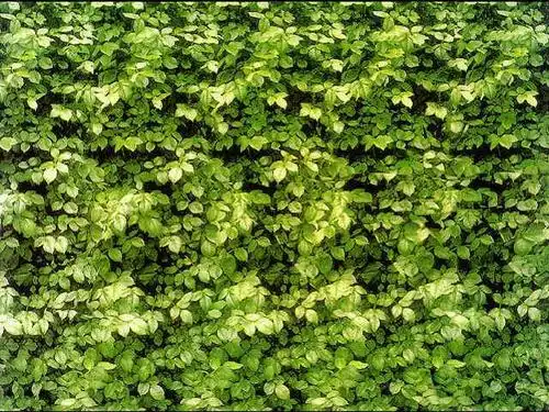 裸眼3d图,你能看出几个_看图_2012吧_百度贴吧