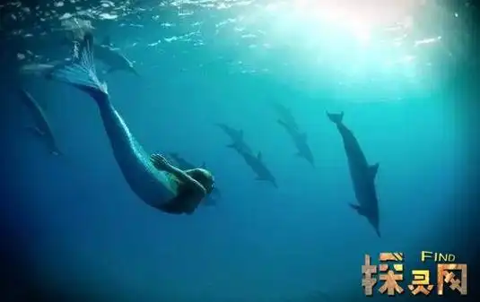 世界上有美人鱼吗东方鲛人泣珠报答人类西方人鱼吃人2