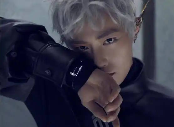 王一博也曾有过精灵的造型,一头银发披肩而下,五官更加的精致.